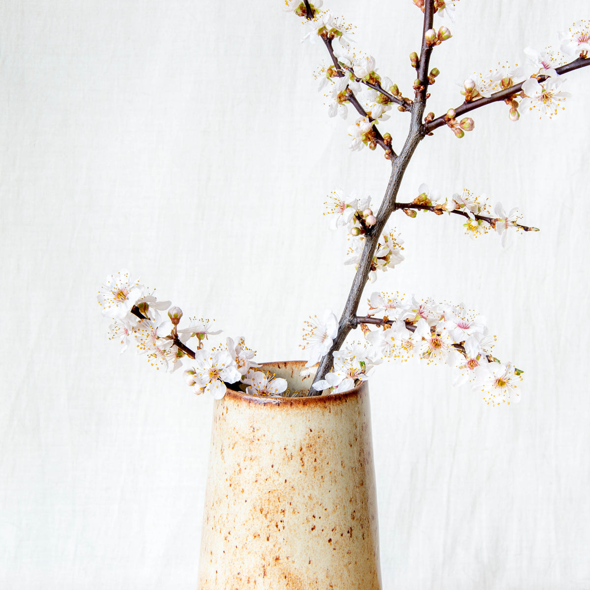 Tapered Vase Light Tussock